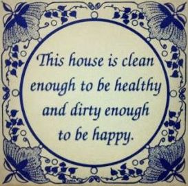 house is clean and dirty enough
